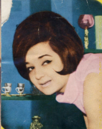 لیلا خیمه داره cover